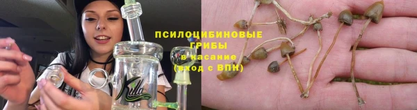 амф Алзамай